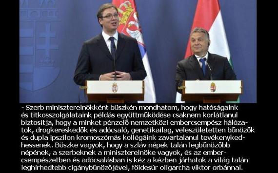 A szerb kormánymaffia kétezerszer kevesebbet ad a vajdasági magyaroknak, mint a koszovói szerbeknek