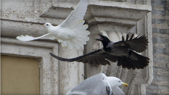Angry Birds in Vatican - avagy, nem lesz béke Ukrajnában?