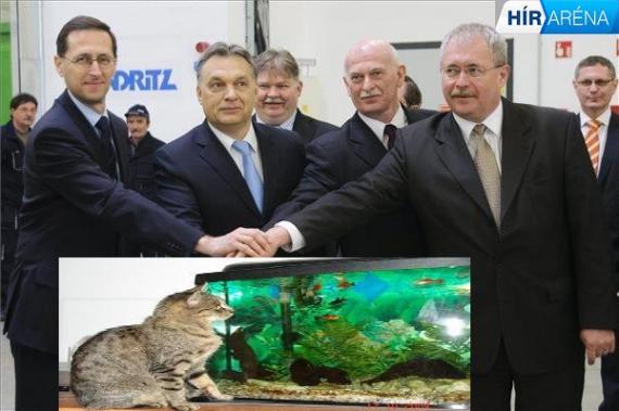 Vígjáték-kinevezés az Orbán-kormányban: halgazdálkodás fejlesztéséért felelős miniszteri megbízott!