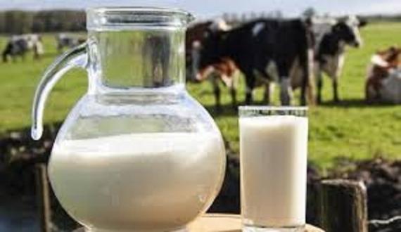 A tej veszélyes vegyi, biológiai és bakteriális ágensek koktélja - mondta Robert Cohen.